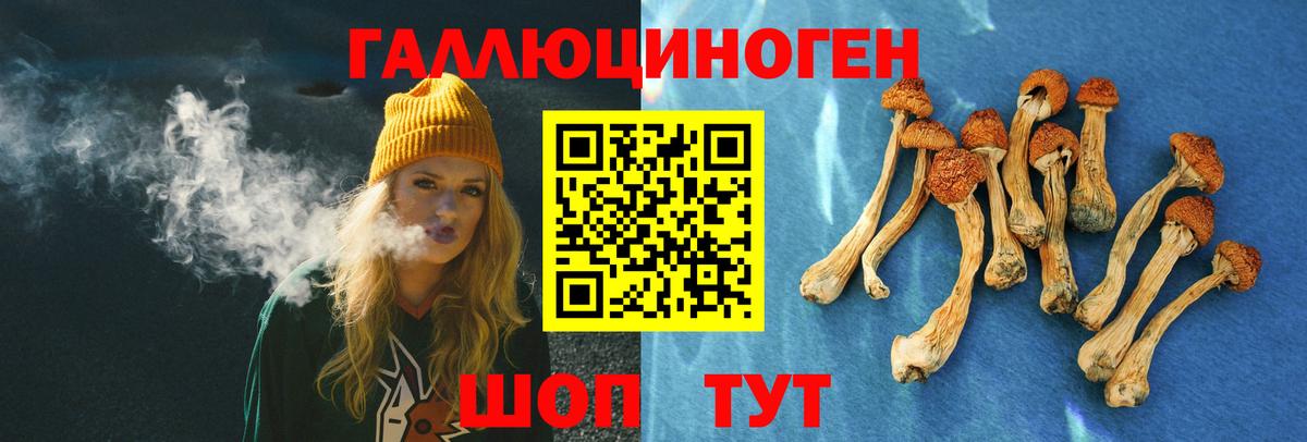 Екатеринбург  Галлюциногенные грибы Psilocybine cubensis  Вход с VPN 