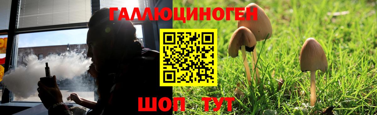 Псилоцибиновые грибы мицелий Екатеринбург